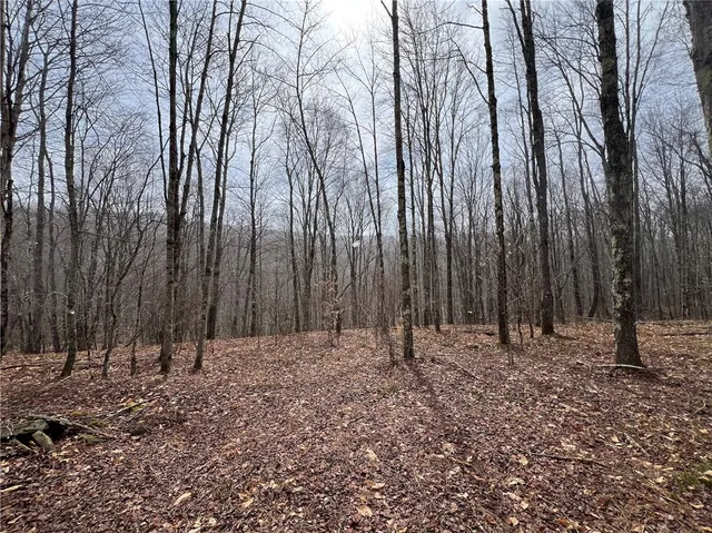 $320,000 | Upper Punchbowl Road, Roscoe, NY 12776