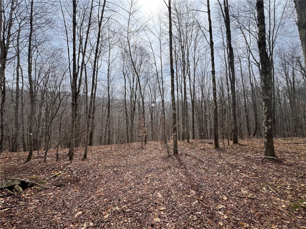 Upper Punchbowl Road Roscoe, NY 12776 - Photo 27 of 41