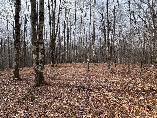 $320,000 | Upper Punchbowl Road, Roscoe, NY 12776