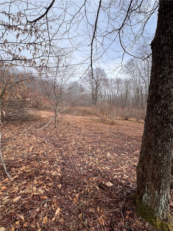 Upper Punchbowl Road Roscoe, NY 12776 - Photo 29 of 41