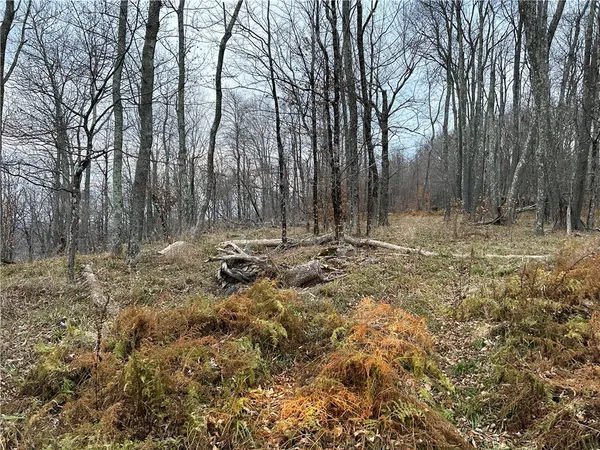 $320,000 | Upper Punchbowl Road, Roscoe, NY 12776