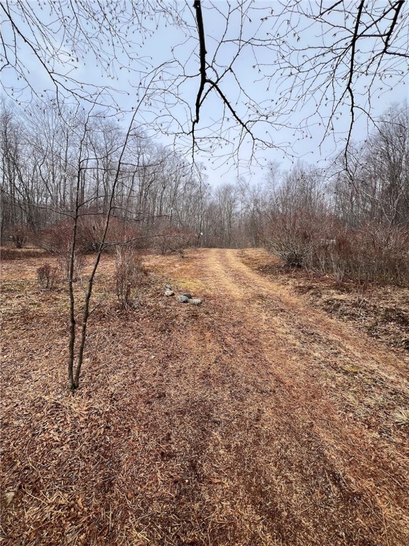 Upper Punchbowl Road Roscoe, NY 12776 - Photo 31 of 41