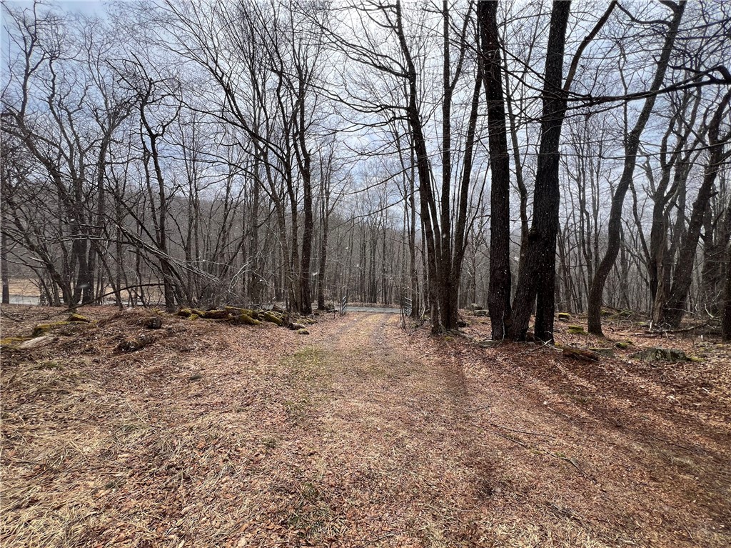 Upper Punchbowl Road Roscoe, NY 12776 - Photo 32 of 41