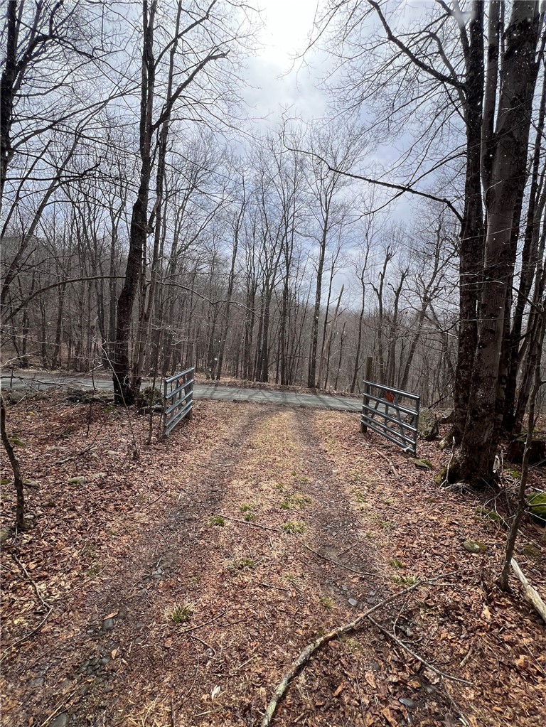 Upper Punchbowl Road Roscoe, NY 12776 - Photo 33 of 41