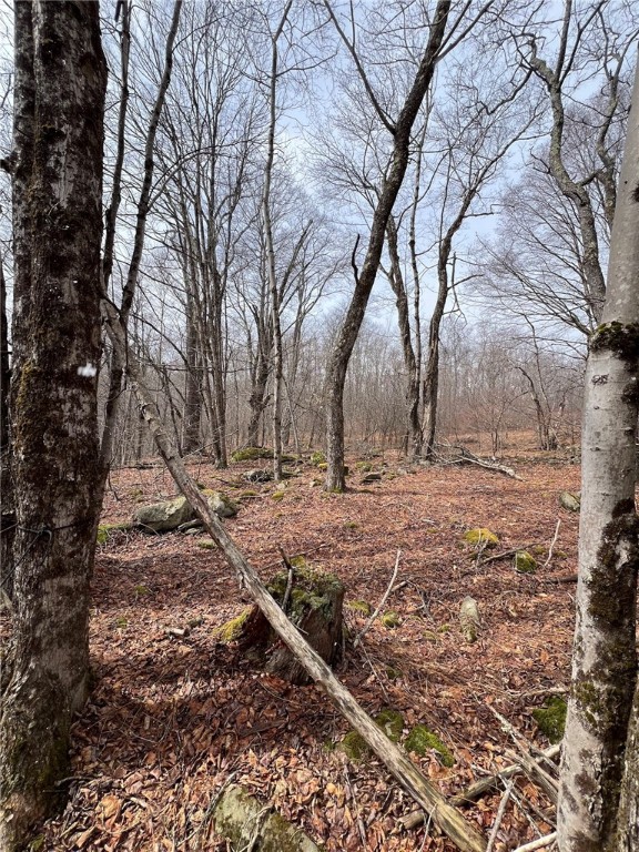 Upper Punchbowl Road Roscoe, NY 12776 - Photo 34 of 41