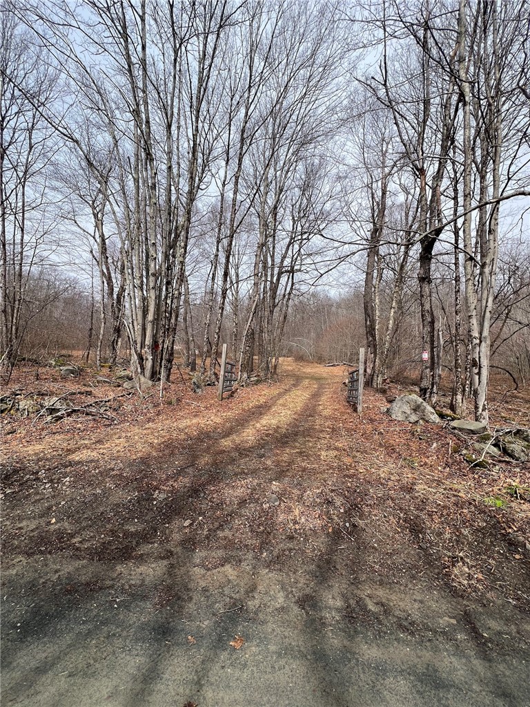Upper Punchbowl Road Roscoe, NY 12776 - Photo 35 of 41