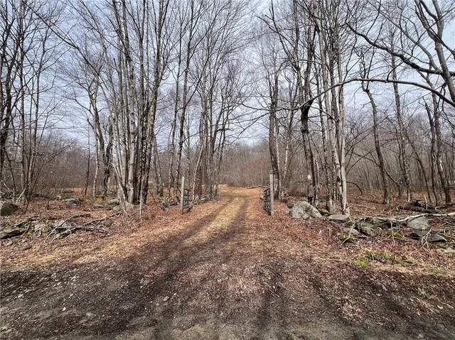 $320,000 | Upper Punchbowl Road, Roscoe, NY 12776