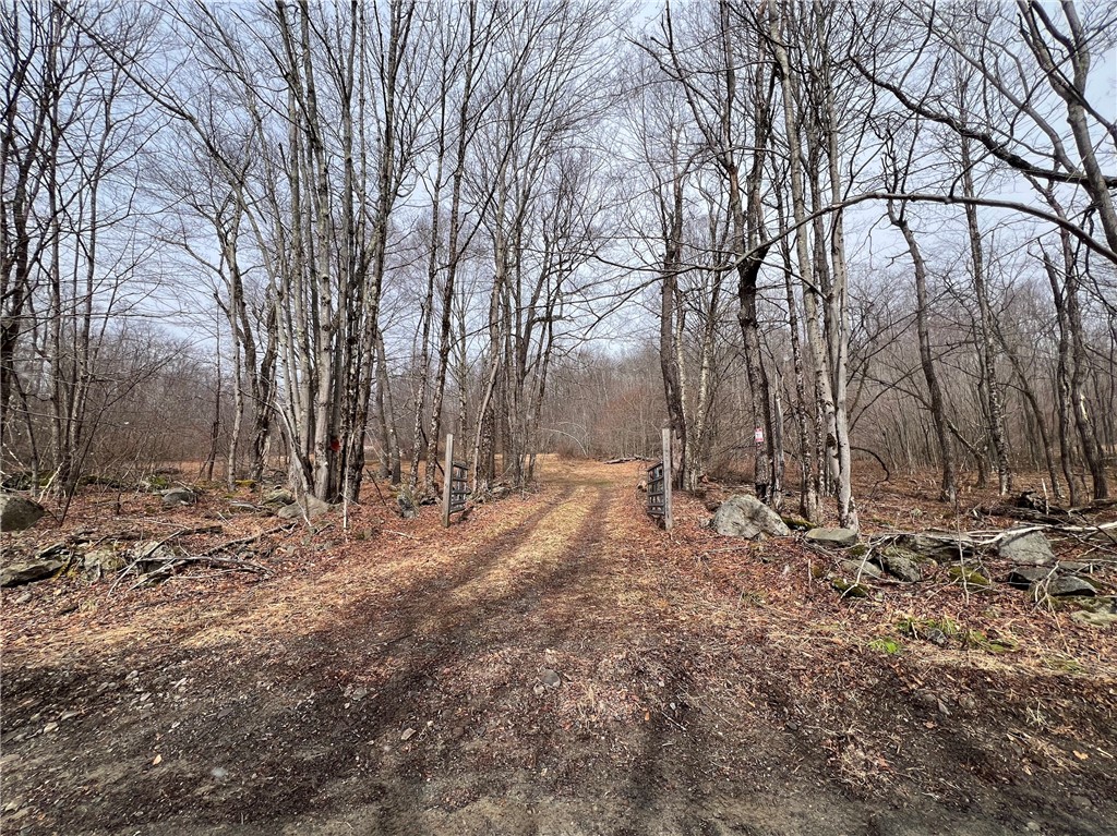 Upper Punchbowl Road Roscoe, NY 12776 - Photo 36 of 41