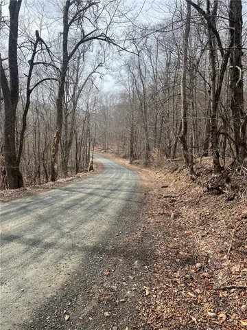 $320,000 | Upper Punchbowl Road, Roscoe, NY 12776