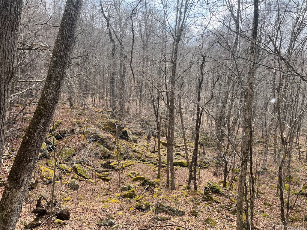 Upper Punchbowl Road Roscoe, NY 12776 - Photo 38 of 41