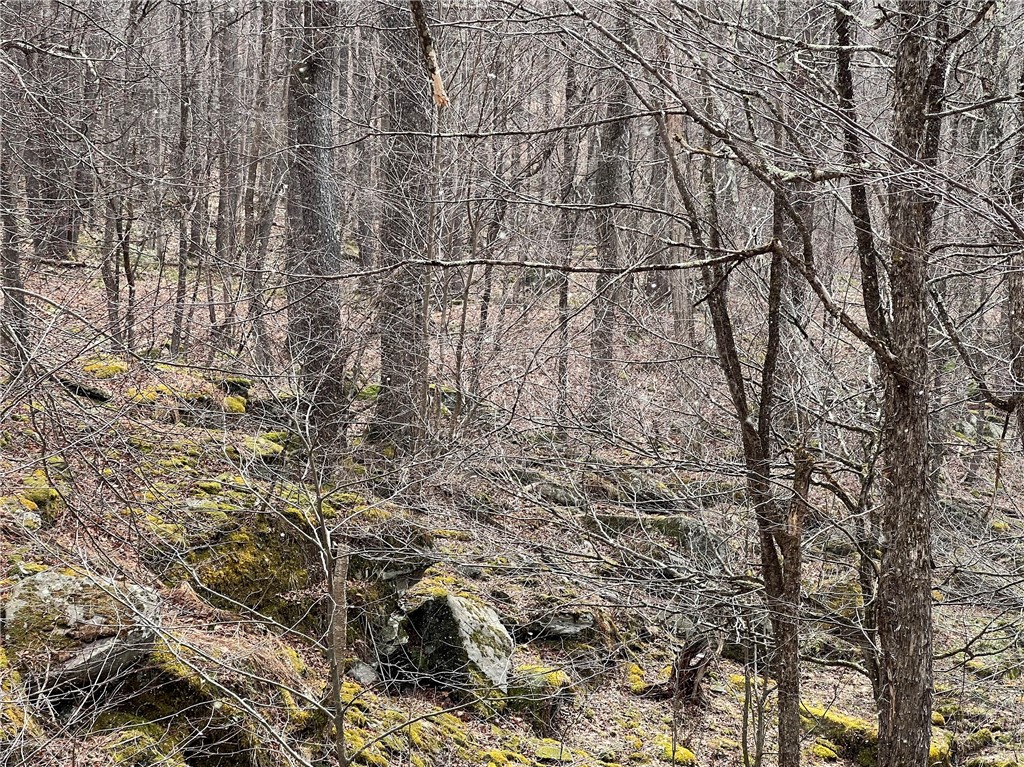 Upper Punchbowl Road Roscoe, NY 12776 - Photo 39 of 41