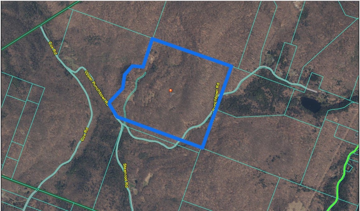 Upper Punchbowl Road Roscoe, NY 12776 - Photo 40 of 41