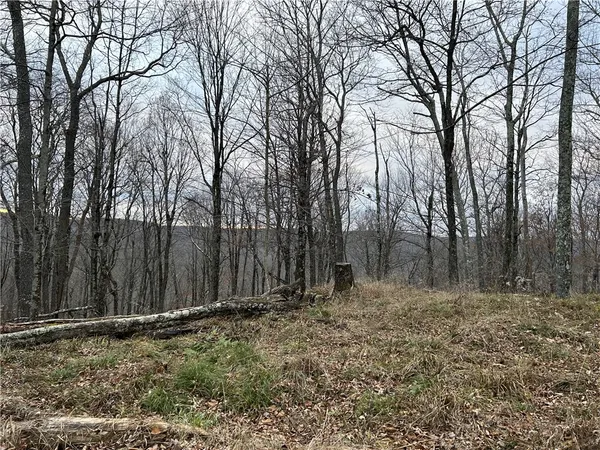 $320,000 | Upper Punchbowl Road, Roscoe, NY 12776