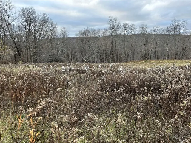 $320,000 | Upper Punchbowl Road, Roscoe, NY 12776