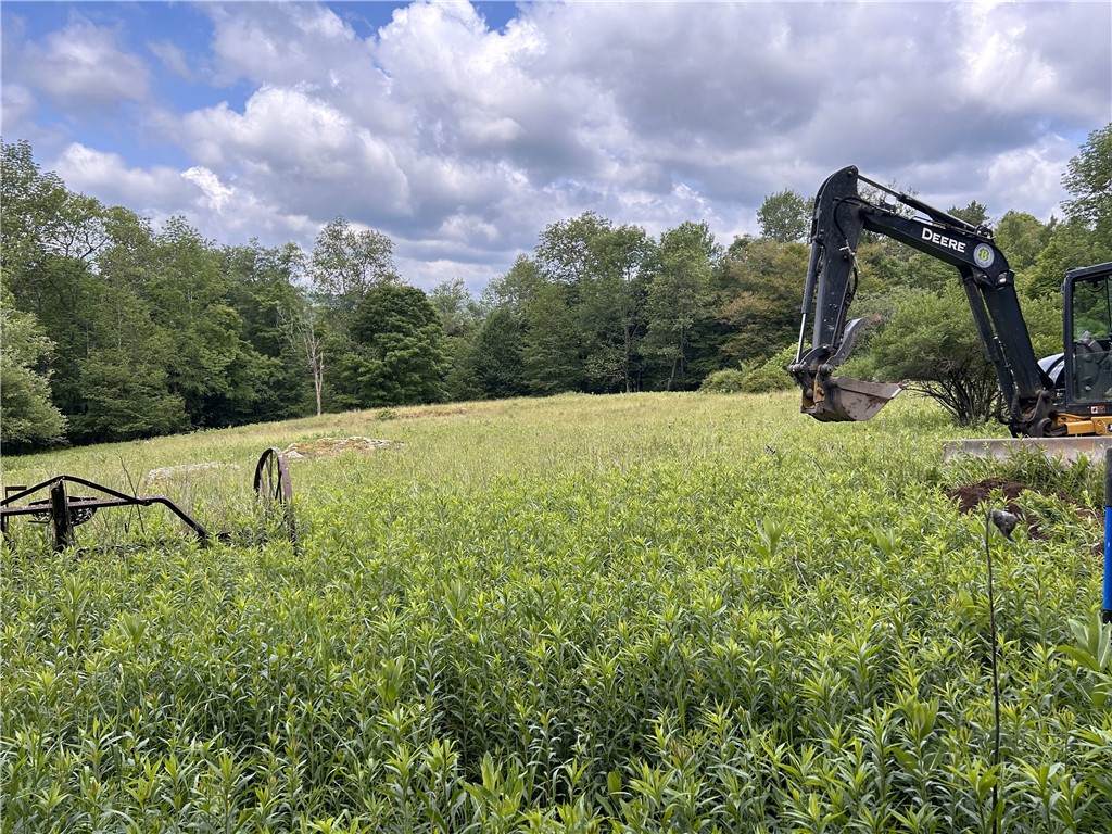 Upper Punchbowl Road Roscoe, NY 12776 - Photo 6 of 41