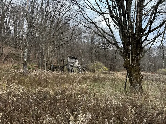 $320,000 | Upper Punchbowl Road, Roscoe, NY 12776