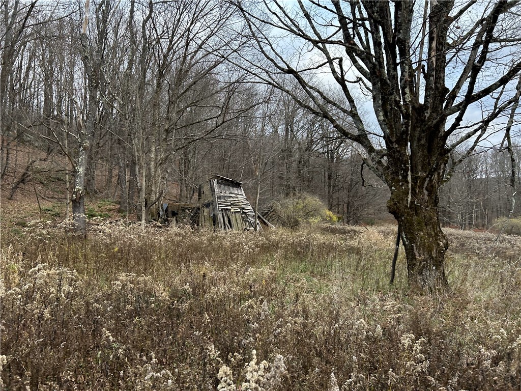 Upper Punchbowl Road Roscoe, NY 12776 - Photo 8 of 41