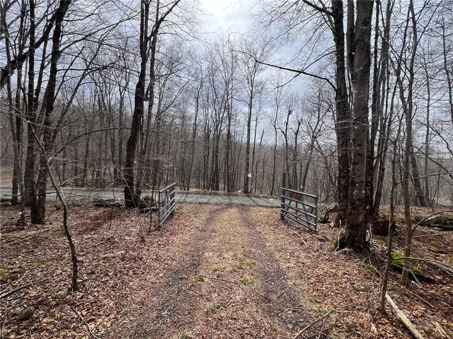 $320,000 | Upper Punchbowl Road, Roscoe, NY 12776