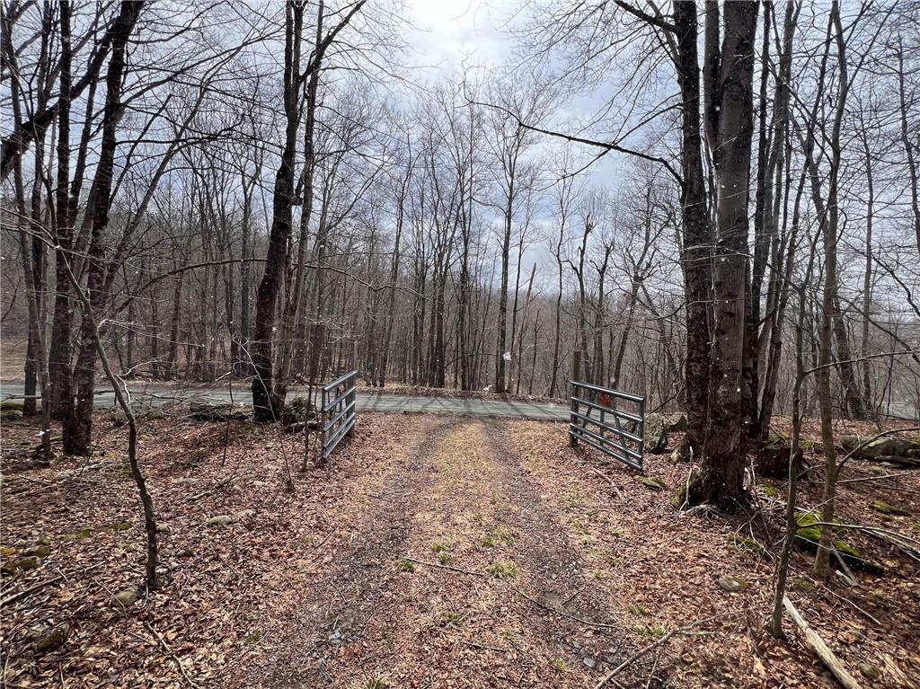 Upper Punchbowl Road Roscoe, NY 12776 - Photo 9 of 41