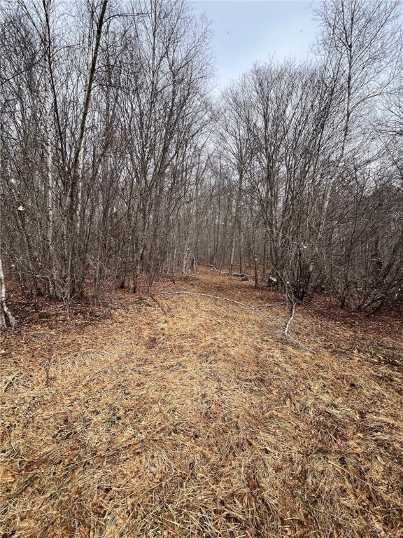 Upper Punchbowl Road Roscoe, NY 12776 - Photo 10 of 41