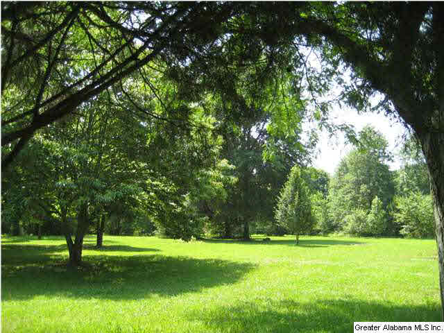 420 Happy Hollow Road Odenville, AL 35120 - Photo 7 of 23