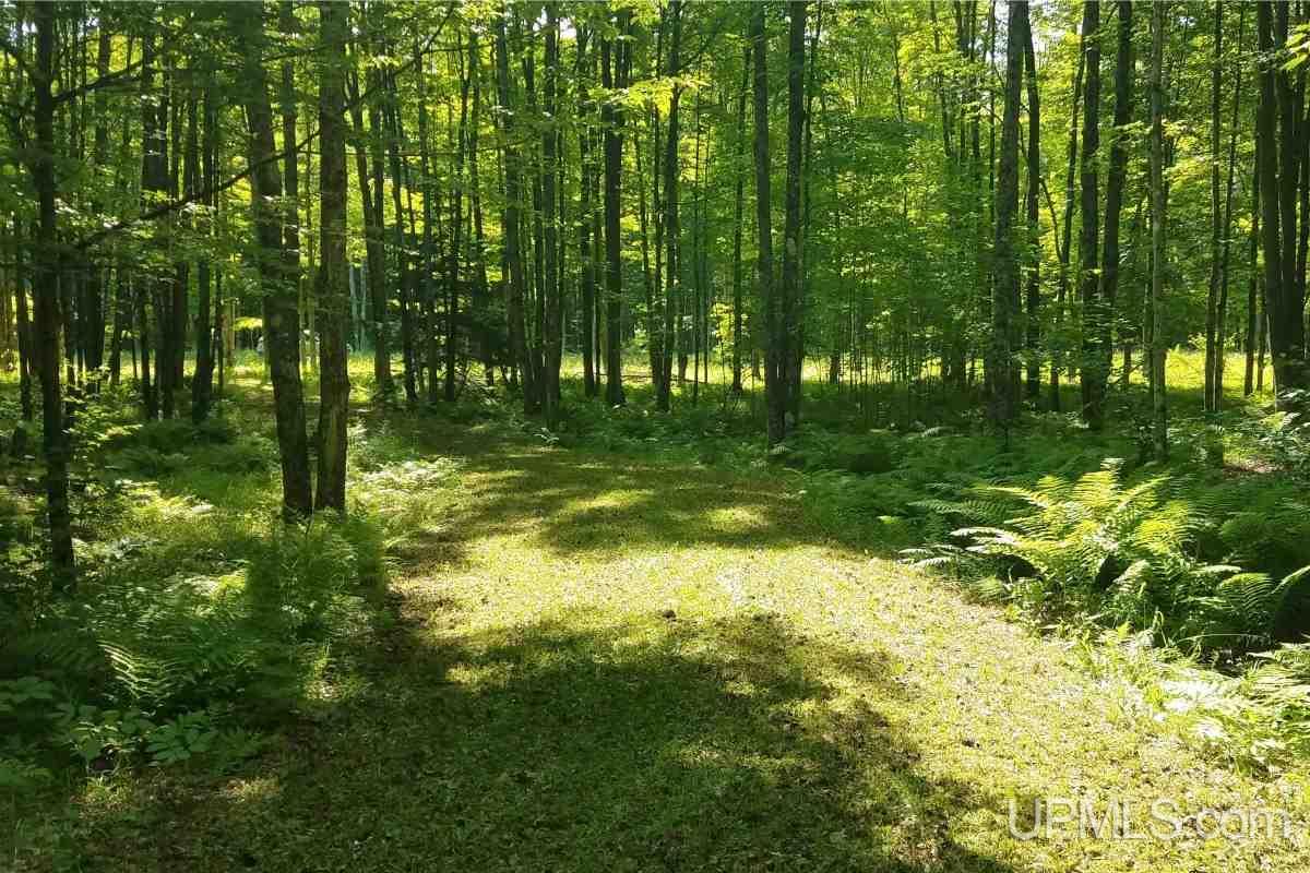 Tbd Ridgeview Road, Unit 5 Iron River, MI 49935 - Photo 3 of 6 Gallery Image 3