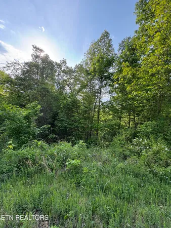 $9,300 | Lot 29 Saddle Ridge Drive, Speedwell, TN 37870