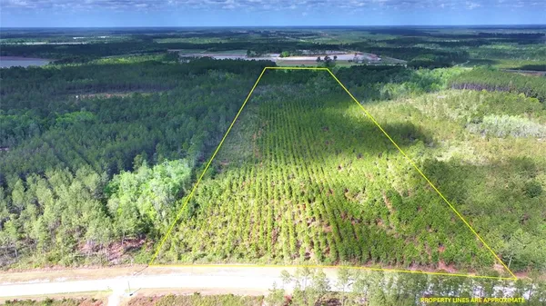 $119,900 | 120 South Farms Edge Road, Manor, GA 31550