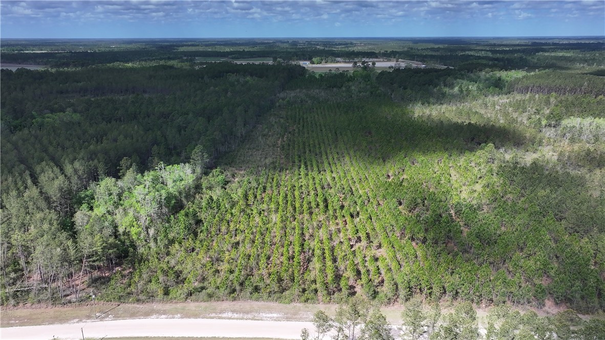 120 South Farms Edge Road Manor, GA 31550 - Photo 2 of 9