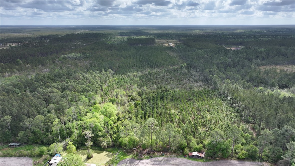 120 South Farms Edge Road Manor, GA 31550 - Photo 3 of 9