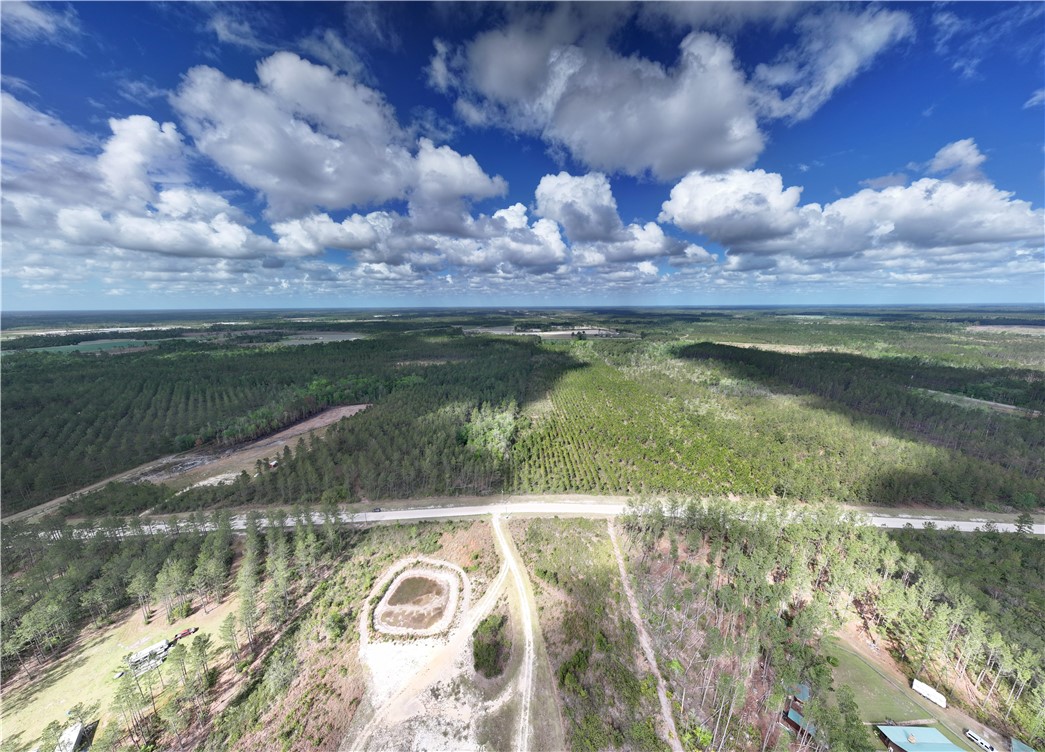 120 South Farms Edge Road Manor, GA 31550 - Photo 4 of 9