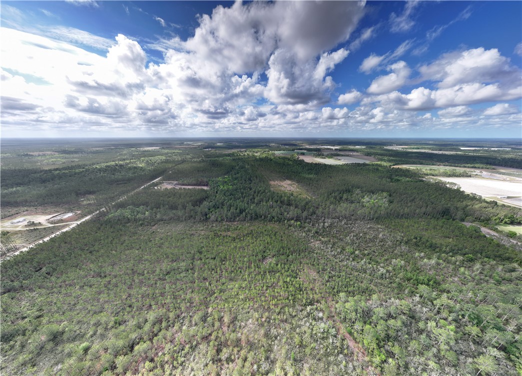 120 South Farms Edge Road Manor, GA 31550 - Photo 5 of 9