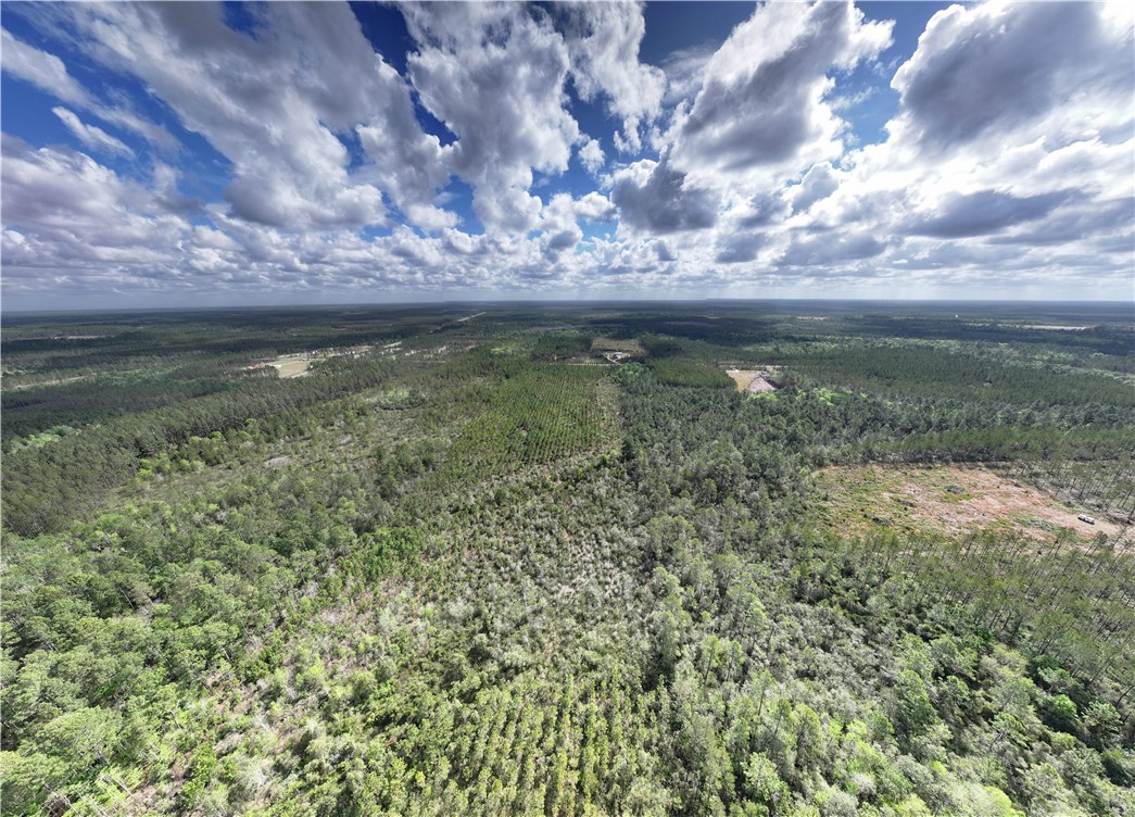 120 South Farms Edge Road Manor, GA 31550 - Photo 6 of 9