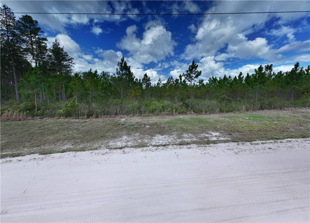 120 South Farms Edge Road Manor, GA 31550 - Photo 7 of 9