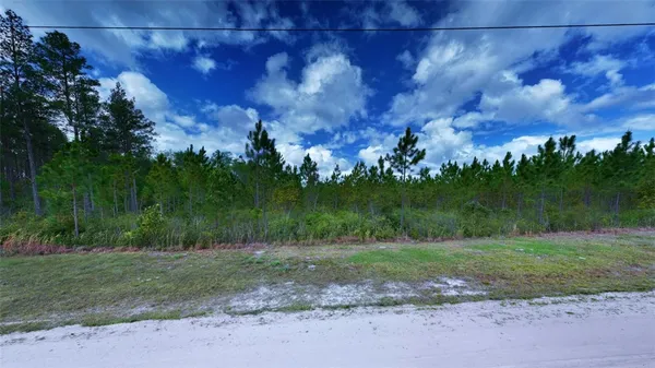 $119,900 | 120 South Farms Edge Road, Manor, GA 31550