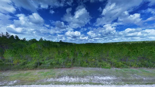 $119,900 | 120 South Farms Edge Road, Manor, GA 31550