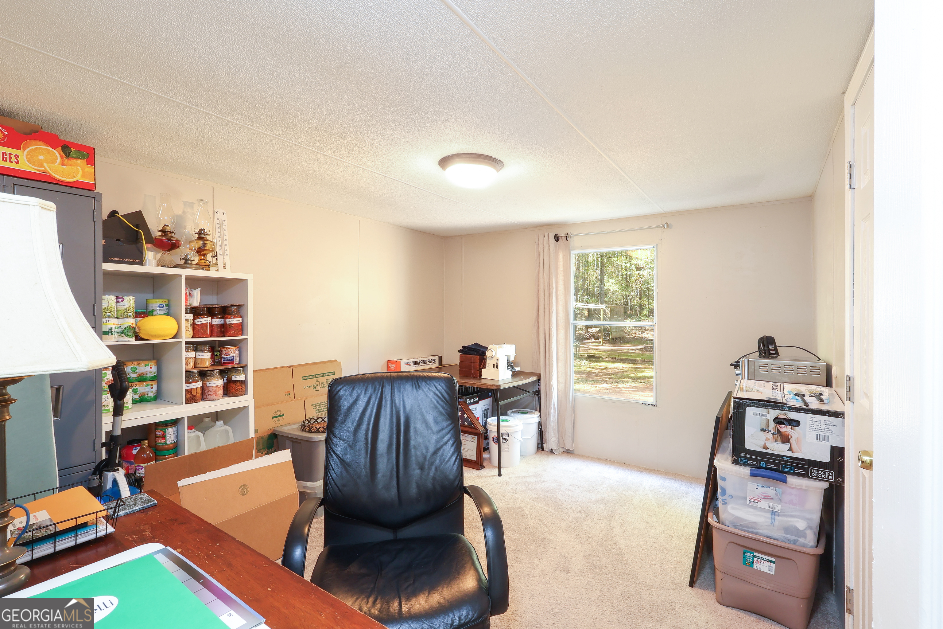 1424 Al Roberts Road Senoia, GA 30276 - Photo 27 of 43