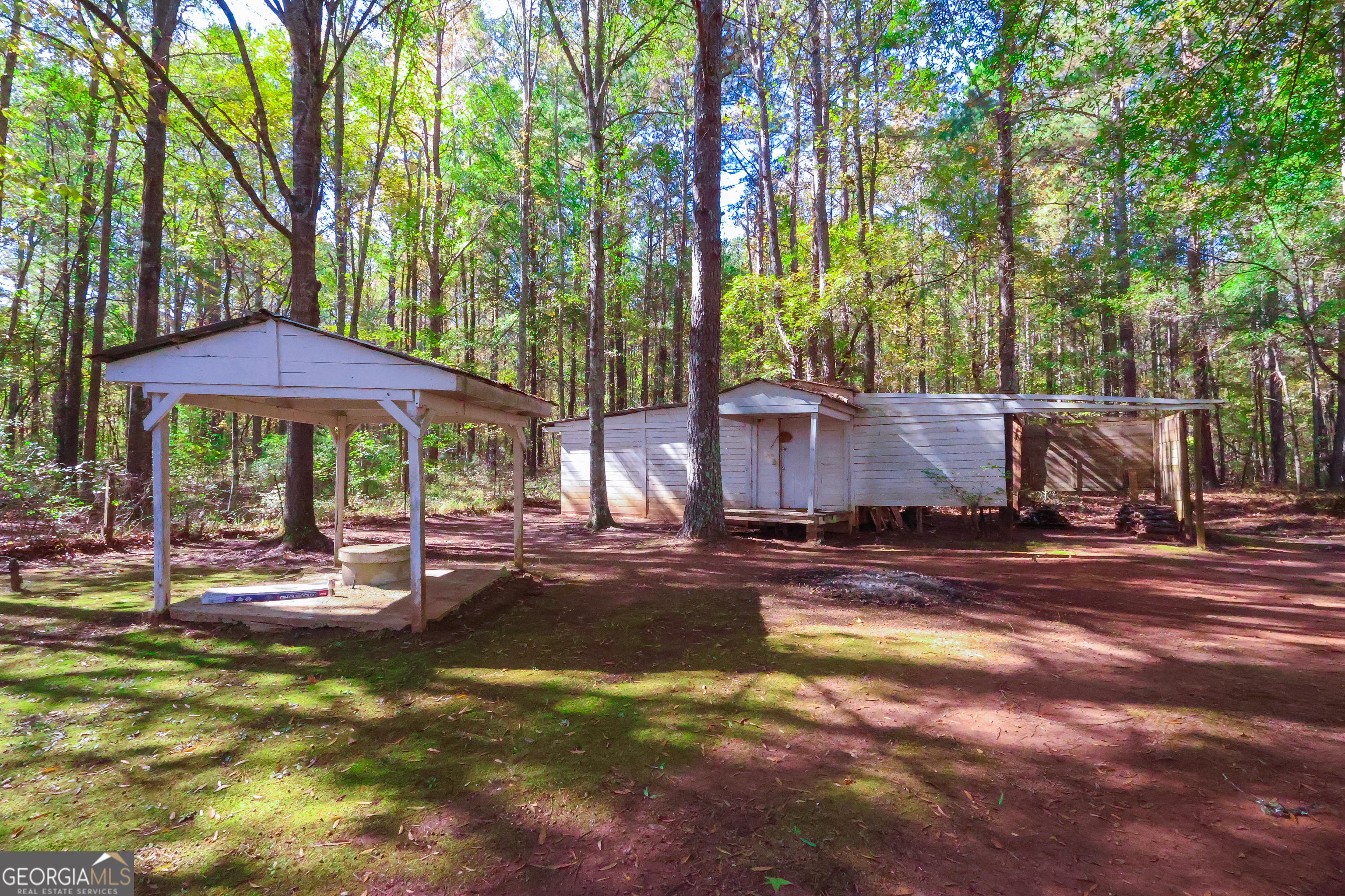 1424 Al Roberts Road Senoia, GA 30276 - Photo 42 of 43