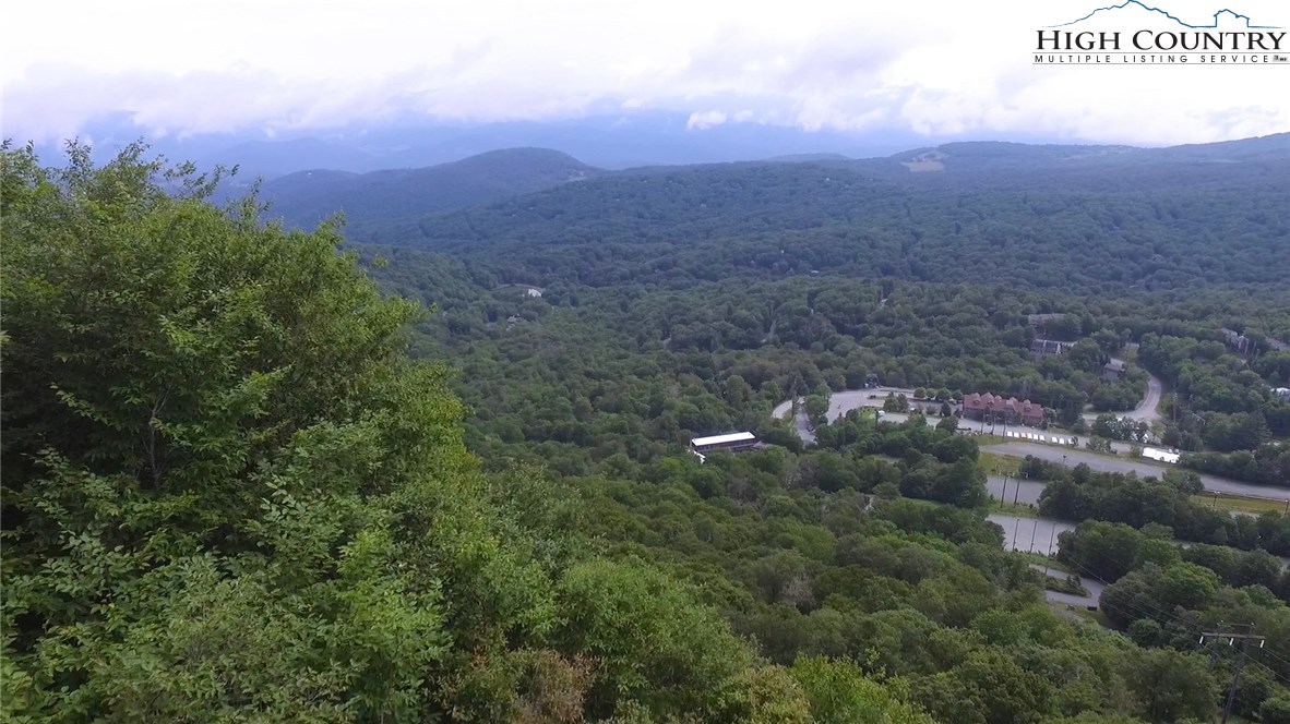 Pinnacle Ridge Road, Unit 3 Beech Mountain, NC 28604 - Photo 4 of 6 Gallery Image 4