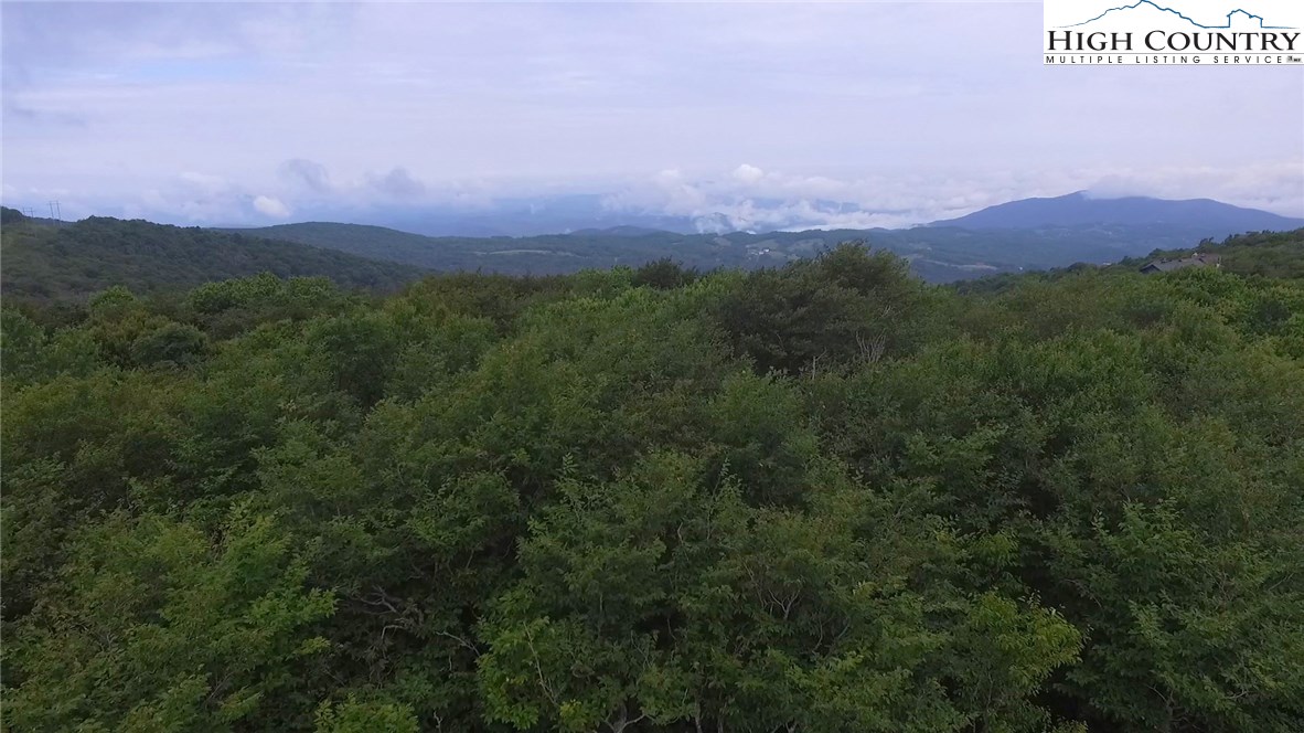 Pinnacle Ridge Road, Unit 3 Beech Mountain, NC 28604 - Photo 5 of 6 Gallery Image 5