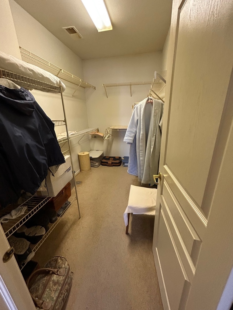 13792 Pineview Drive Huntley, IL 60142 - Photo 13 of 17 a walk in closet