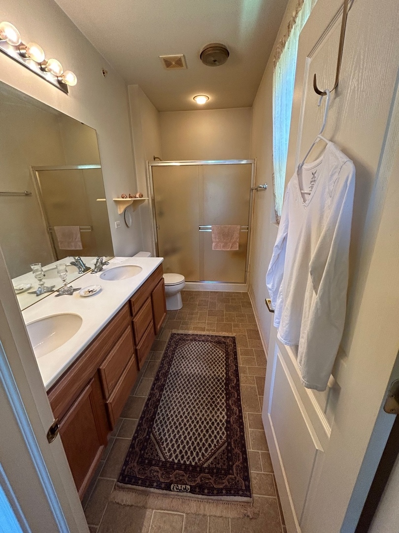13792 Pineview Drive Huntley, IL 60142 - Photo 14 of 17 a bathroom with a sink a toilet a mirror and shower