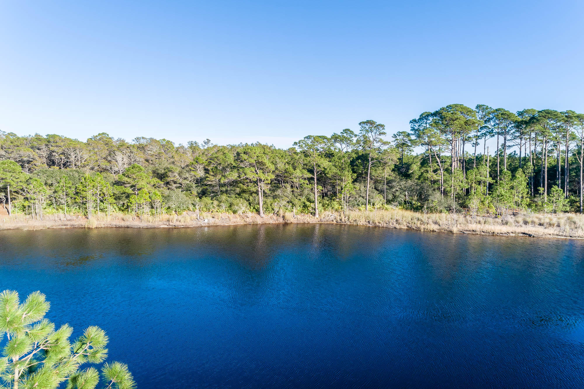 Lot 3 Redfish Lane Santa Rosa Beach, FL 32459 - Photo 14 of 23 190213-lot3-25feet-002-2000