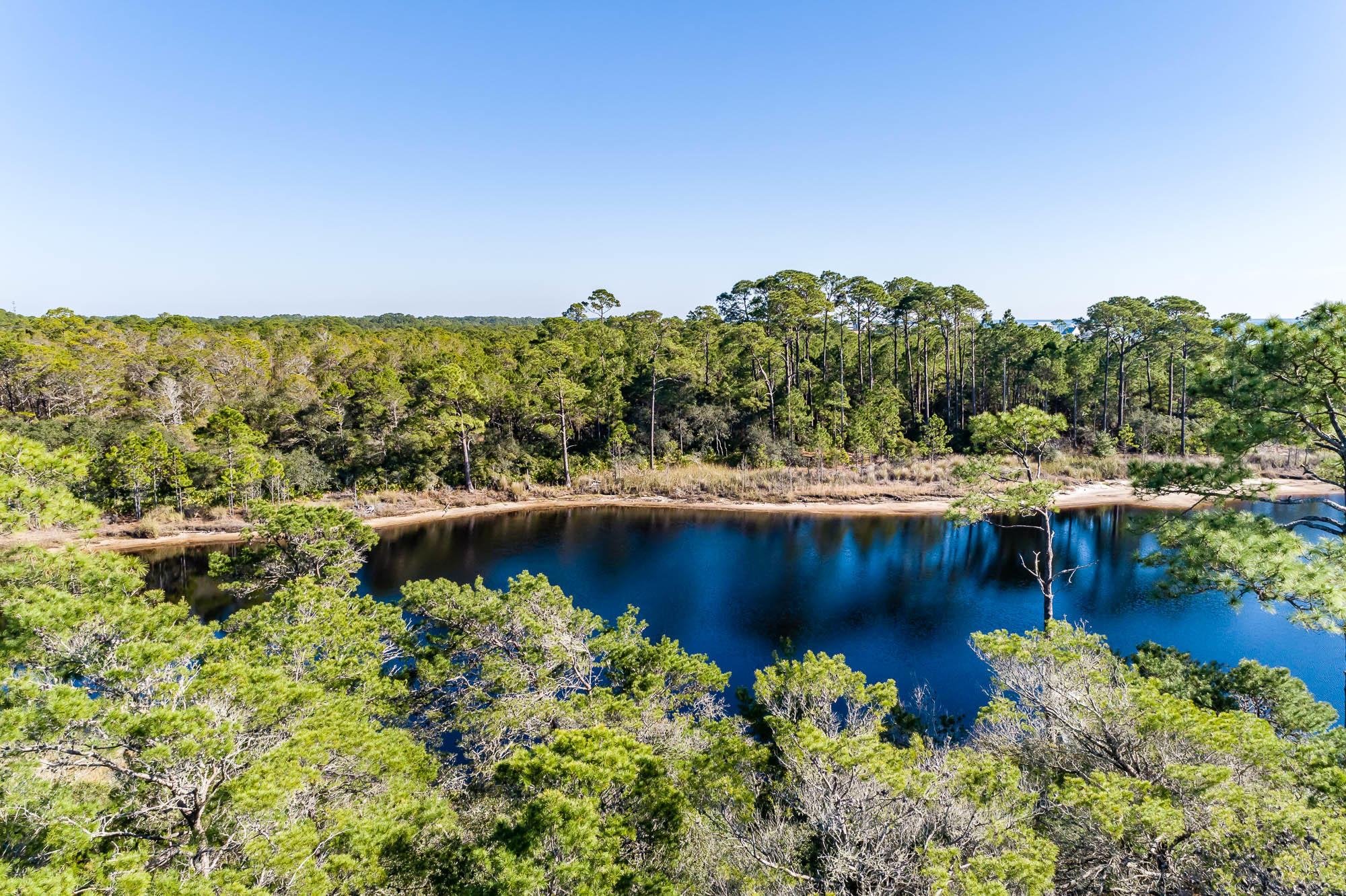 Lot 3 Redfish Lane Santa Rosa Beach, FL 32459 - Photo 9 of 23 190116-grayton-493-2000