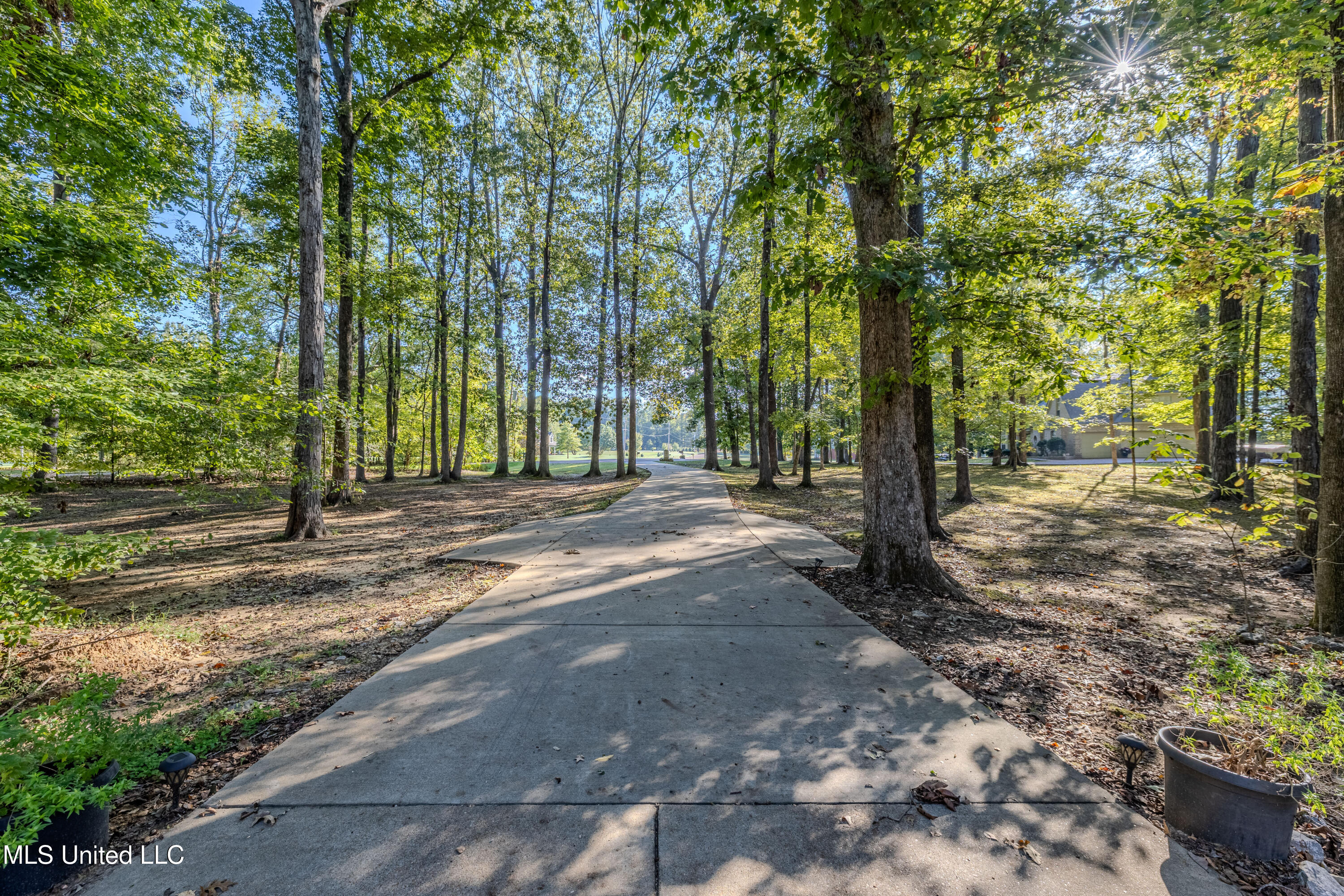 3399 Dean Cove North Nesbit, MS 38651 - Photo 27 of 37 Dean Cove-16
