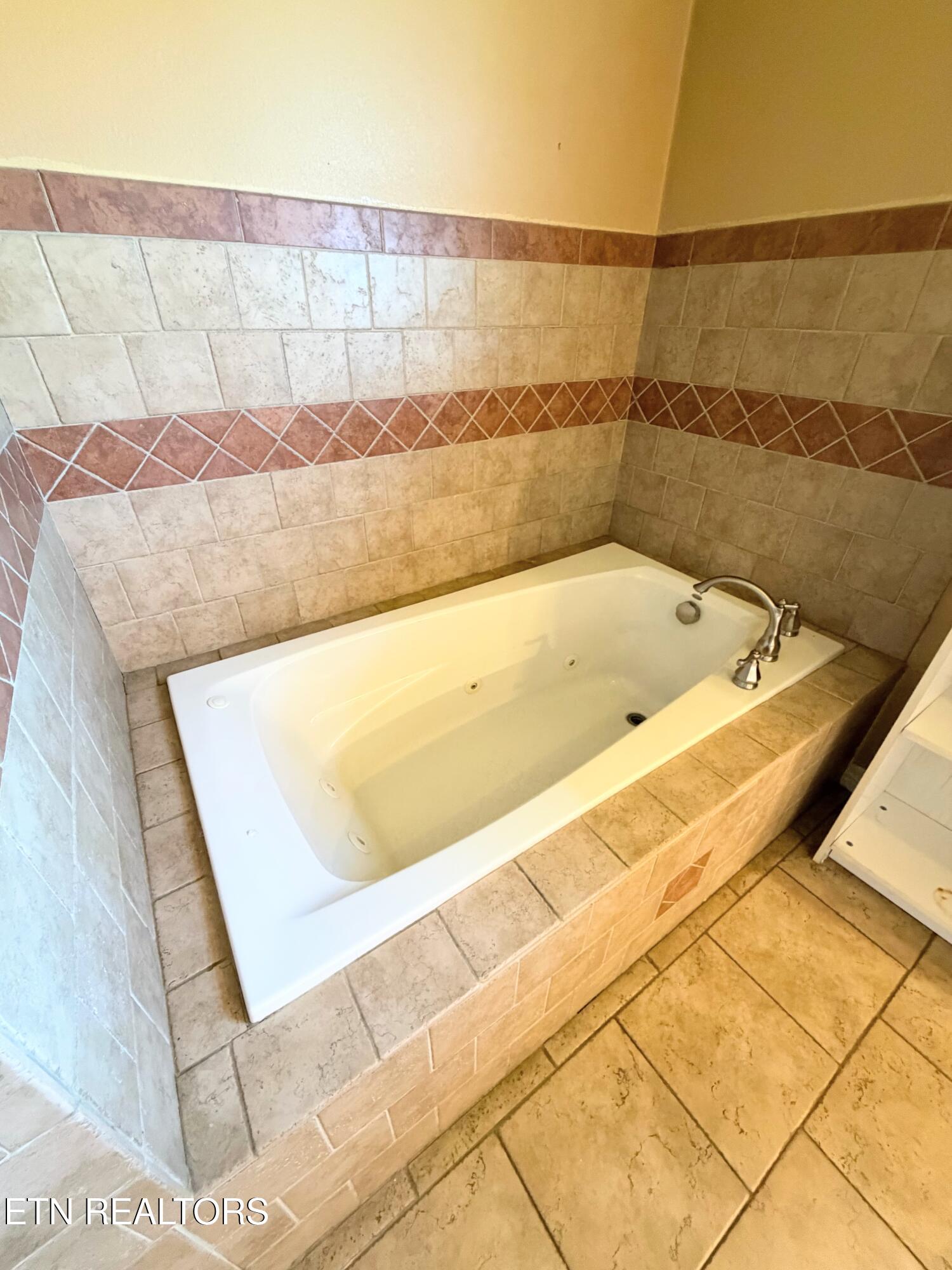 3941 Hickory Valley Road Andersonville, TN 37705 - Photo 19 of 30 Master Bath
