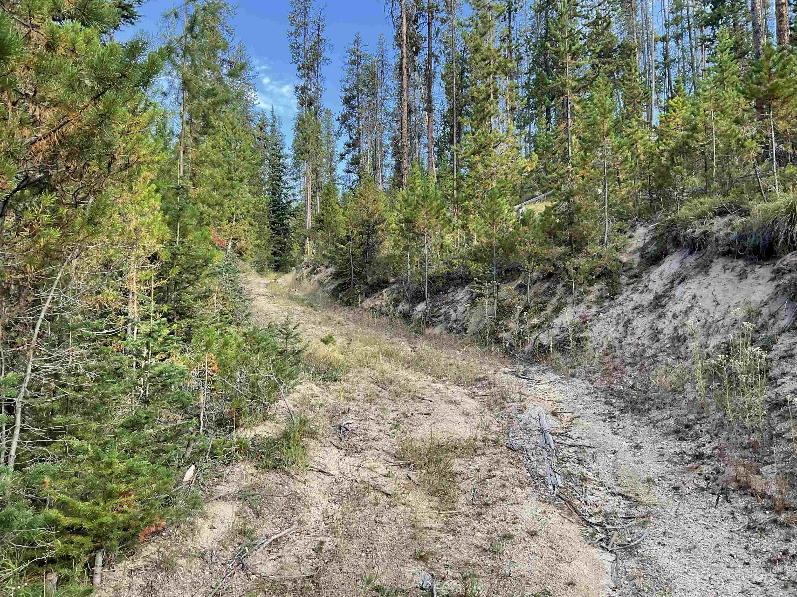 Tbd Copperhead Road Elk City, ID 83525 - Photo 24 of 25 Gallery Image 24