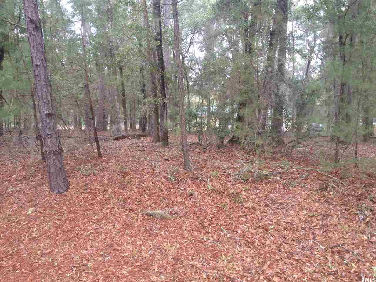 46 Osprey Road Beaufort, SC 29907 - Photo 3 of 5 Additional Photo