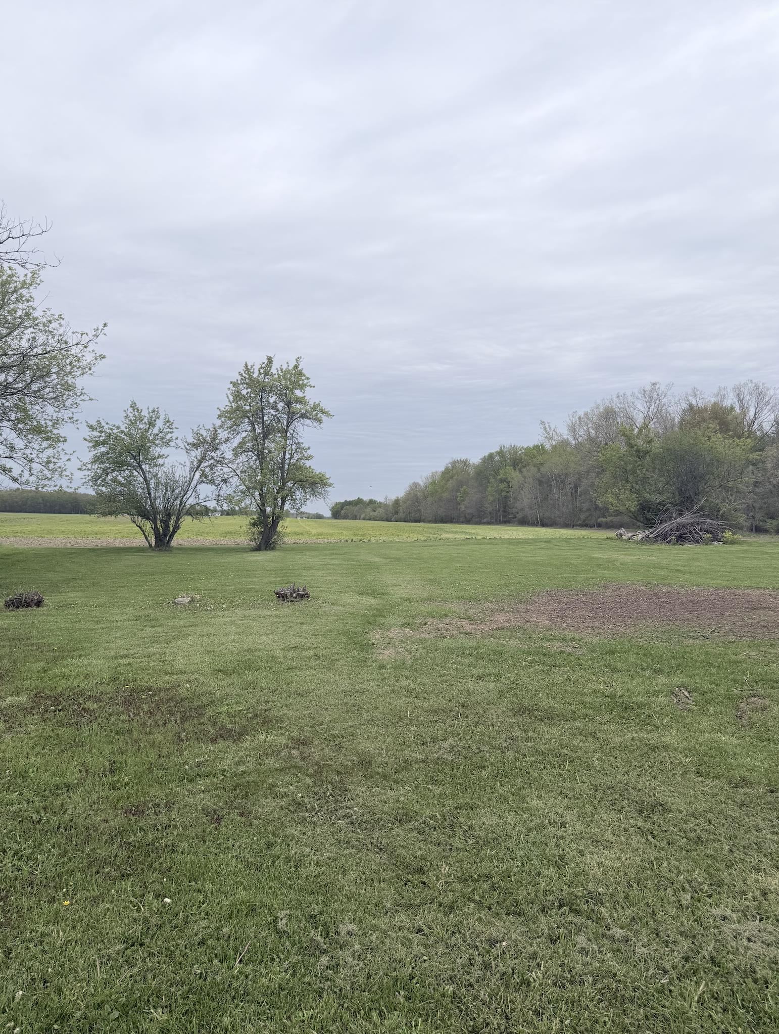 965 East Remus Road Mount Pleasant, MI 48858 - Photo 15 of 15