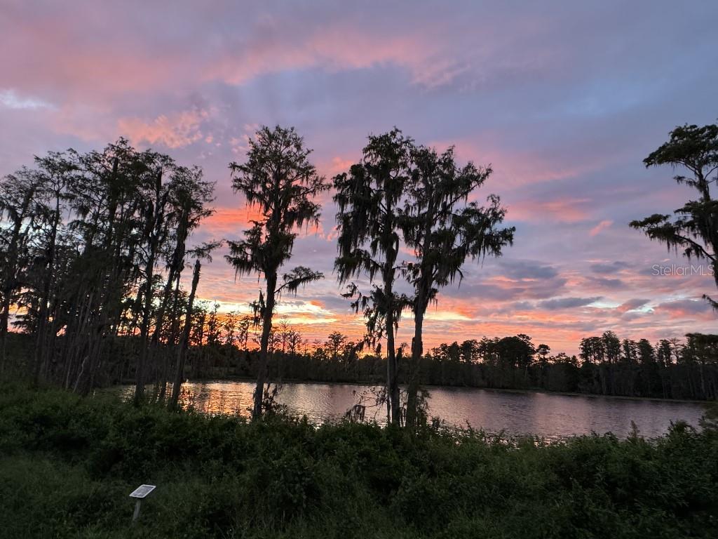 17936 Adrift Road Winter Garden, FL 34787 - Photo 34 of 44 a view of lake with green space